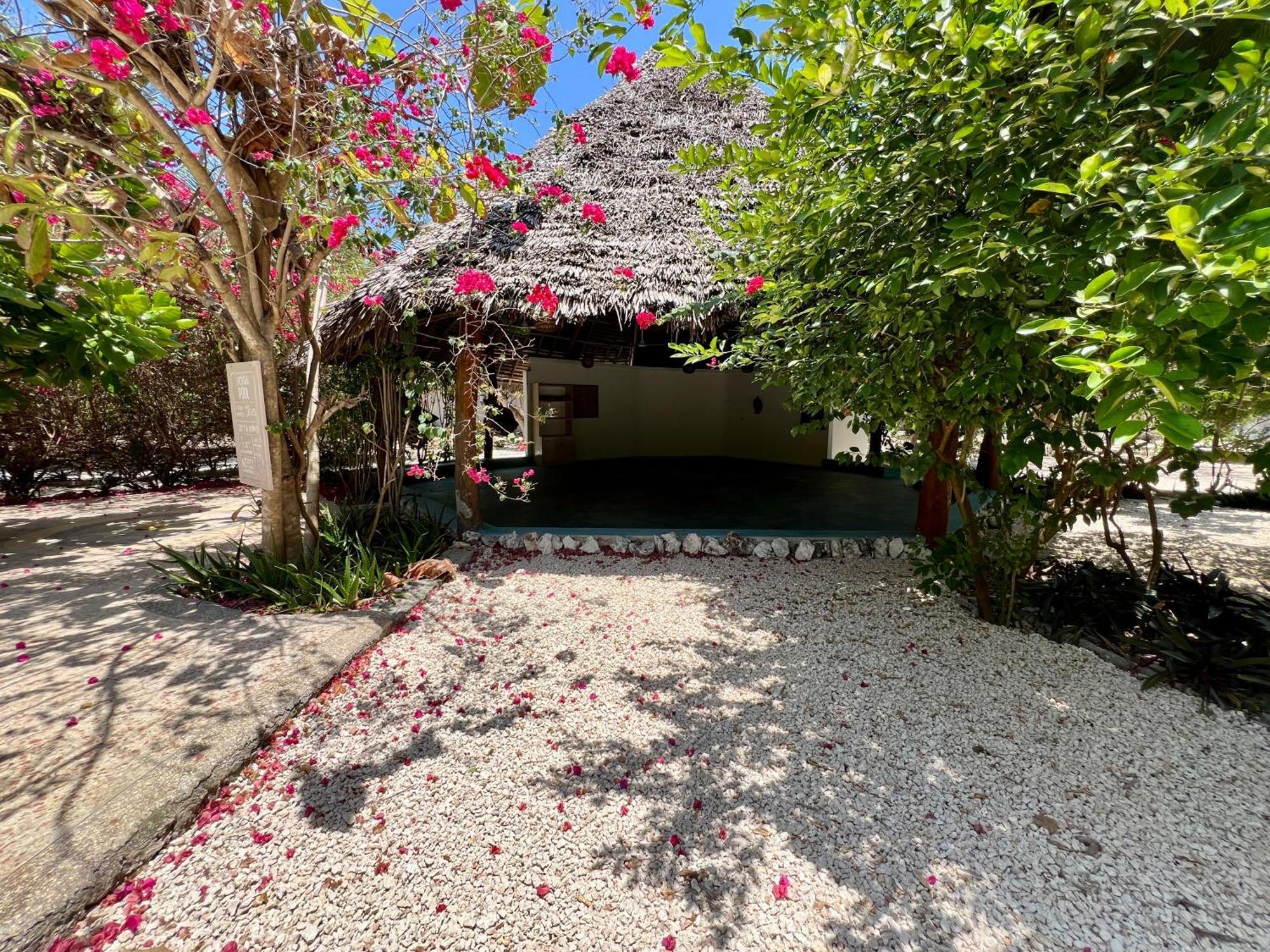 Sharazad Oasis Retreat Hotel Jambiani  Exterior foto